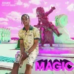 Magic-cover