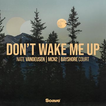Don't Wake Me Up-cover