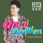 อ้ายบ่ออนซอน-cover