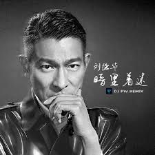 暗里着迷-cover