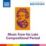 An die ferne Geliebte, Op. 98: No. 6. Nimm sie hin denn, diese Lieder-cover