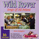 My Wild Irish Rose-cover