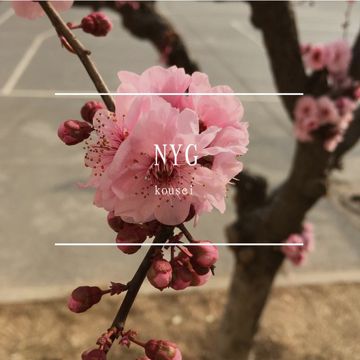 when you tell me that you love me