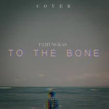 To The Bone (Acoustic Short Version)-cover