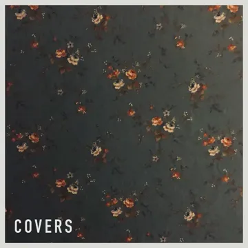 Sugar, We're Goin Down-cover