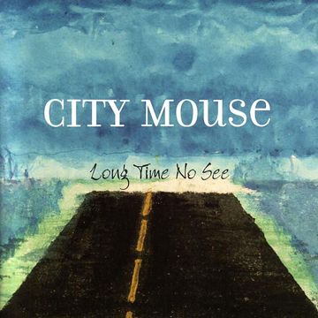 Long Time No See-cover