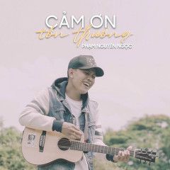 Cảm Ơn Tổn Thương-cover
