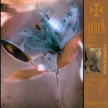 蝴蝶-cover