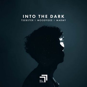 Into the Dark-cover