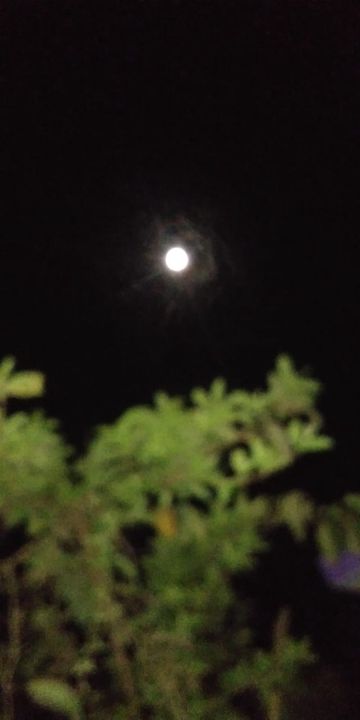 coveImg