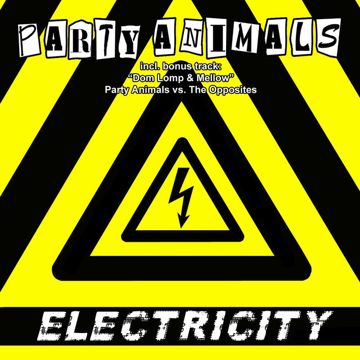 Party Electricity
