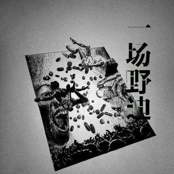 一场野迪-cover