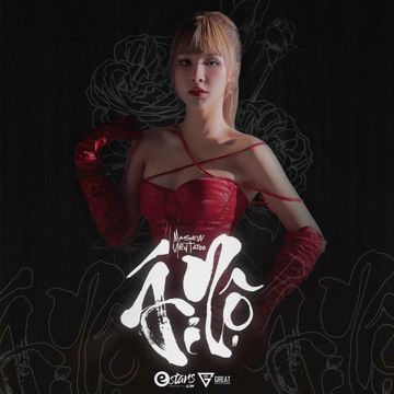 Ái Nộ-cover