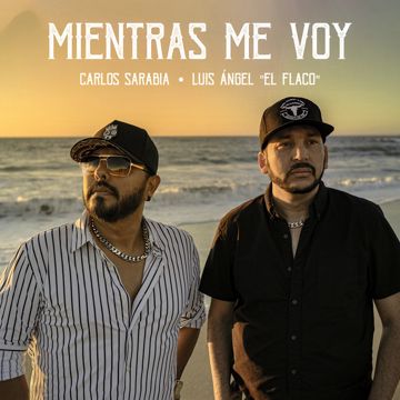 Mientras Me Voy-cover