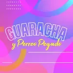 Puñeta-cover