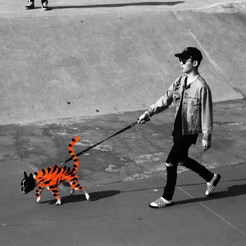 Tiger (feat. Ja Mezz)-cover