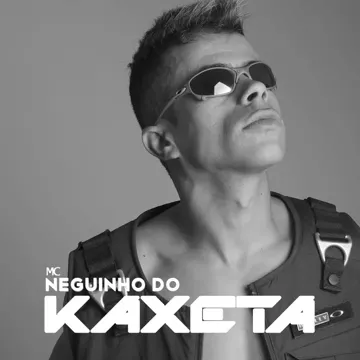 Chave de Ouro-cover