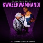 Kwazekwamnadi-cover
