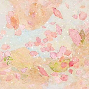 무궁화-cover