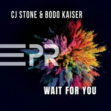 Wait for You (Extended Mix)-cover