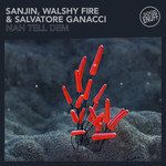 Nah Tell Dem-cover