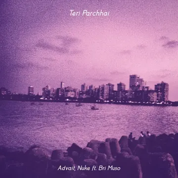 Teri Parchhai-cover
