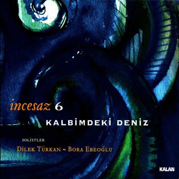Sesimi Duy İsterdim-cover