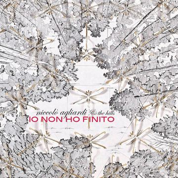 Io non ho finito-cover