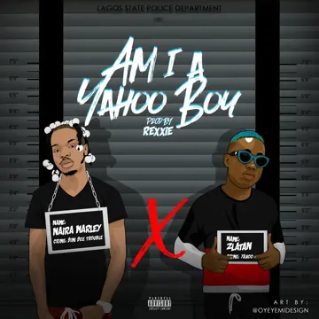 Am I a Yahoo Boy-cover