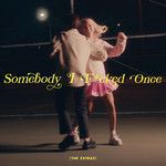 Somebody I Fucked Once(Lady Bee Remix Explicit)(Remix)-cover