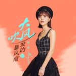 大风吹(《爱的暴风雨》DJ House粤语版)