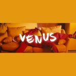 Venus-cover