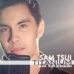 Titanium-cover