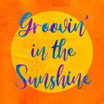 Groovin' in the Sunshine-cover