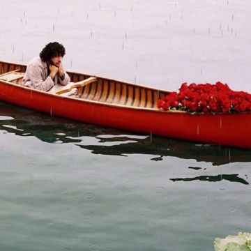 Roses-cover