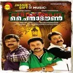 Innu Penninu-cover