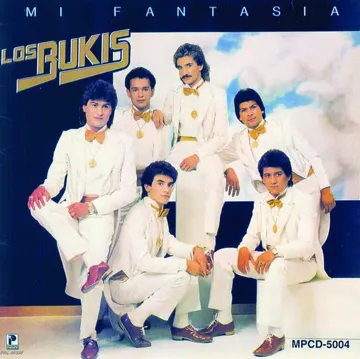 Necesito Una Compañera-cover