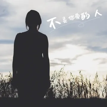 不是你爱的人-cover