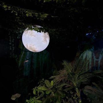 Fly Me to the Moon-cover