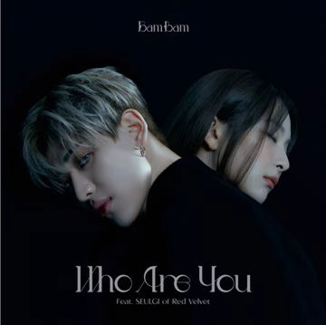 Who Are You -cover