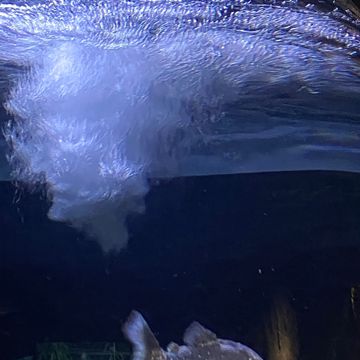 가스라이팅 해서 당신 없이 못 살게 해놓고 어디 가