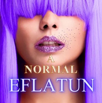Alizade - A Normal_EFLATUN-cover
