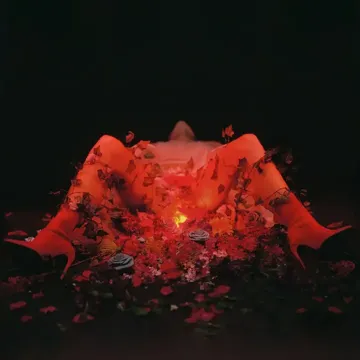 coveImg