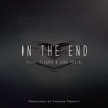 In The End (Instrumental)-cover
