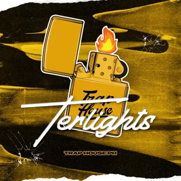 Terlights-cover