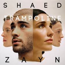 Trampoline-cover