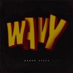 Wavy-cover