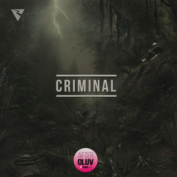 Criminal-cover