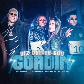 Diz Que Eu Sou Gordin-cover