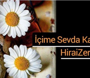 içime sevda kaçar -cover